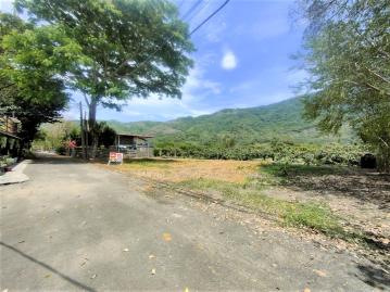 六龜觀溪山莊裡農地 ★渡假退休好選擇