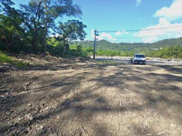 (專約)六龜妙崇寺公路邊農地