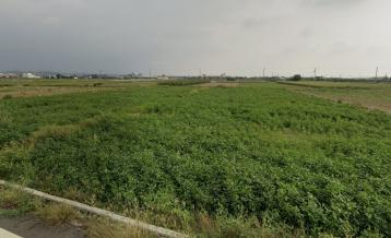 台南柳營神農里方正平坦3.28分農地