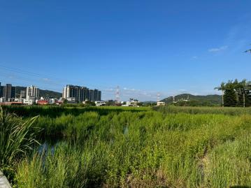 新埔市區都計內美農地單位D＋可分割多用途 新竹地產專家 蘇仁忠