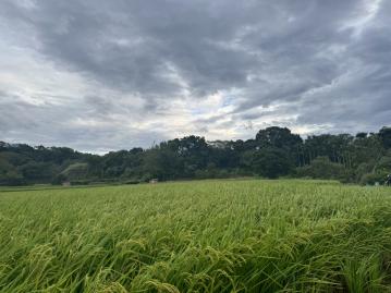 北埔平坦美農地~近南埔大橋~臨溪 急售 新竹地產專家蘇仁忠