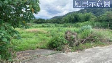 鄰近關西草莓園漂亮農地~汽車可開到