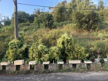 田寮小資族農牧用地 左營鼓山好房