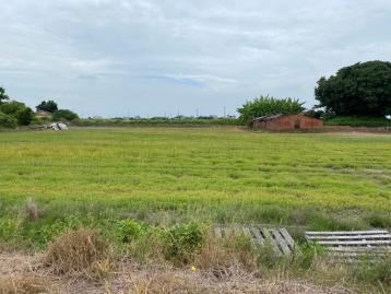嘉義東石村莊內三角窗方正美農地 左營鼓山好房