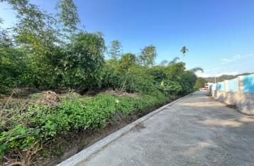 降價!專任★地點佳平坦臨路農地A-台中太平房仲 