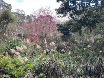 三義慈濟山 大坪數農牧用地