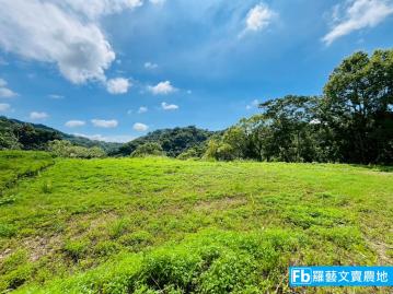 苗栗農舍農地 三義 休閒平地 有view 羅藝文賣農地