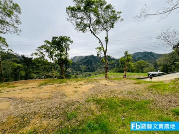 苗栗農舍農地 低總價 三義 休閒平地 有view 羅藝文賣農地