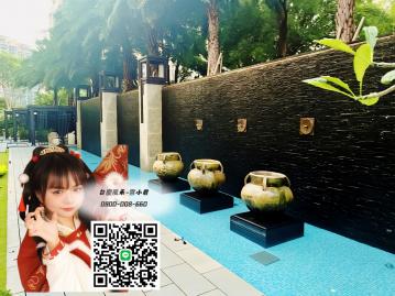 桃園推薦房仲，中路京懋一號陽光大兩房車雙衛豪邸