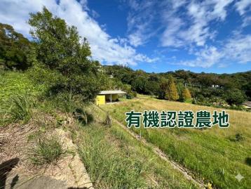 新竹新埔｜有機認證小農場 近竹北｜面積可興建農舍｜平坦方正｜
