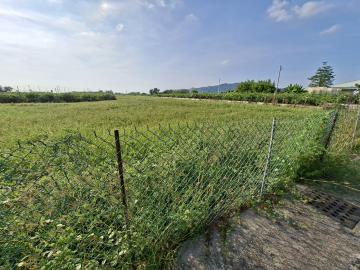 高雄廠房推薦 燕巢農地出售