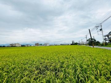 獨家☀️五結都內小農地B 【宜蘭農舍透天】