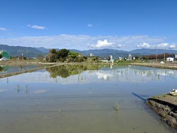 獨家☀️員山滿意足坪農地【宜蘭農舍透天】