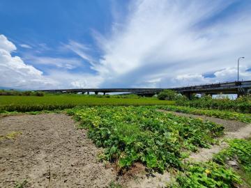 獨家❣️宜蘭市免百萬臨路小農地❤️永義予晴❤️ 宜蘭房仲專家