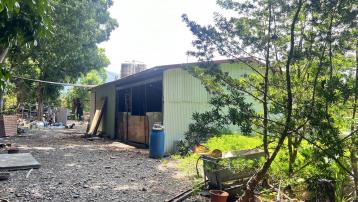 萬巒成德造林農地9.5分 南部房屋土地