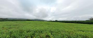 【瑞穗指標美地】2596 坪超大面寬，資產配置的終極解答
