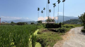 專任水頭路旁農建地 埔里買房買地