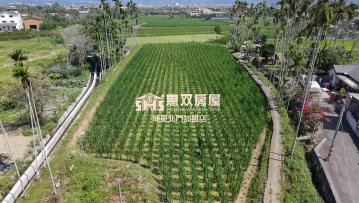 專任水頭水田 埔里買房買地