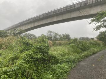 D069大柑園土地