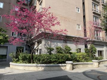 桃園買賣房屋 中壢高中美3房 行情價