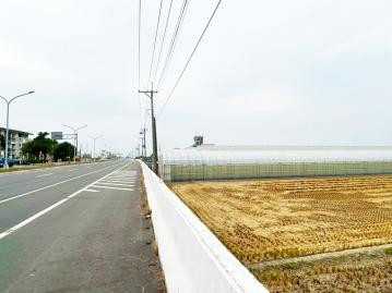 民雄菁埔｜164線道｜900坪大面寬農地