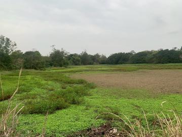 汐止房屋推薦｜枝枝不倦｜萬坪綠色資產~投資種電養老皆宜