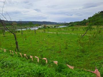 專任-大溪金澤社區(田園風景區) 中壢農地建地