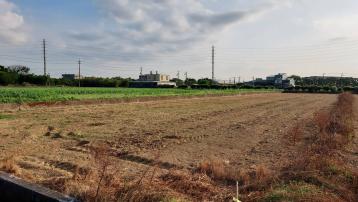 新屋區寶樹路81巷農地 中壢農地建地