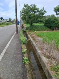 觀音正金橋路農地 中壢農地建地