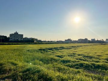 觀音近草漯月桃路二段可分割農地 中壢農地建地