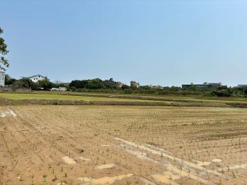 中央大學都內農 中壢農地建地
