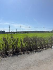 楊梅農保田雙面臨路 中壢農地建地