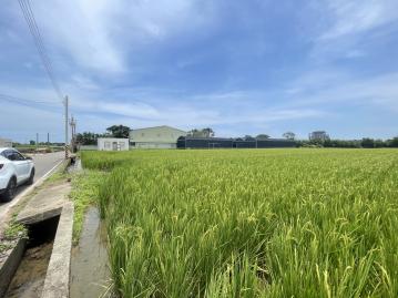 新屋景碩石磊廠旁方正農地 桃園房子土地