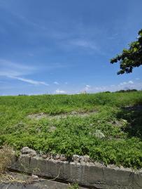 I21枋寮東海稀有農地 東港房屋買賣