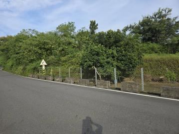 L19高雄 內門金竹里山坡地保育區 農地 東港房屋買賣