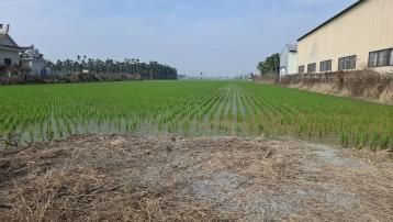 P21崁頂大馬路旁漂亮美農地 東港房屋買賣