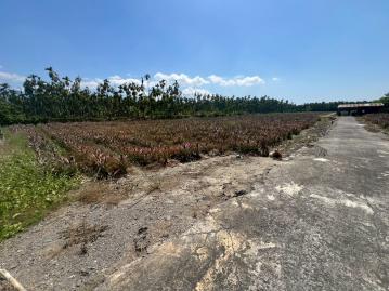S11潮州旺來農地(一)東港佑城買賣房屋