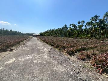 S13潮州旺來農地(三) 東港佑城房屋買賣
