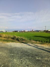 大林交流道農地