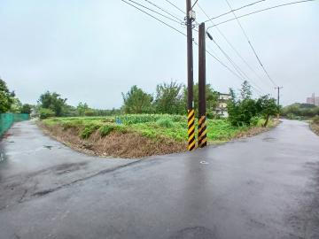 烏樹林開心農場