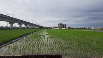 太保高鐵站附近農地 ((專約)) 太保朴子房地