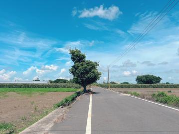 六腳鄉雙面路方正農地 太保朴子農地