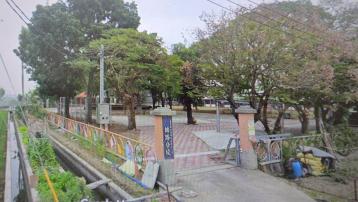大林排路國小三角窗農地