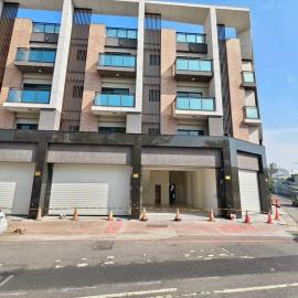 嘉義市中心全新豪華雙車電梯店墅