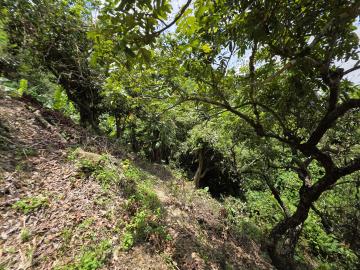 誠意出售霧峰清淨農牧用地!自用投資皆宜! 北屯大里房仲