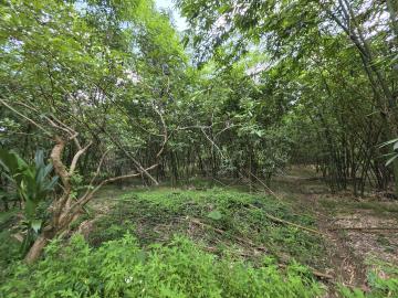 台南白河聚福寶地可殯葬林業再生能源 北屯大里房仲