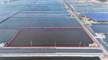 台西台興段丁種建地1.2甲-A 北港房地買賣