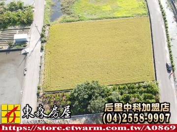 大甲渭水有水有電方正農地 后里大甲買屋