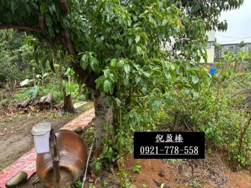 住宅用地|龍潭第二交流道旁建地/高原住宅用地/共2筆