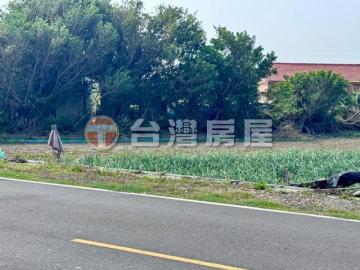 芳苑草漢段農地Ⅱ 台中土地胖哥哥